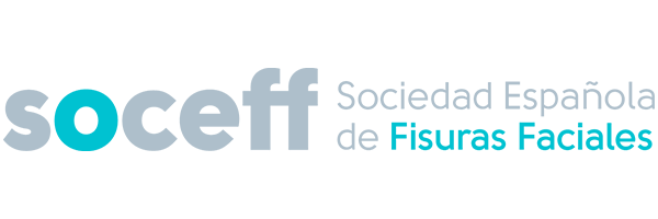 logo-soceff
